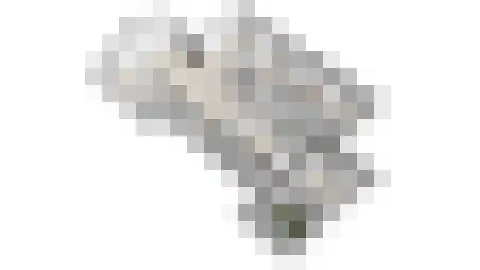 De Flechtreed 24 Oudemirdum thumbnail 45