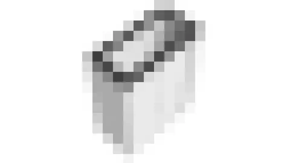 De Flechtreed 24 Oudemirdum thumbnail 47