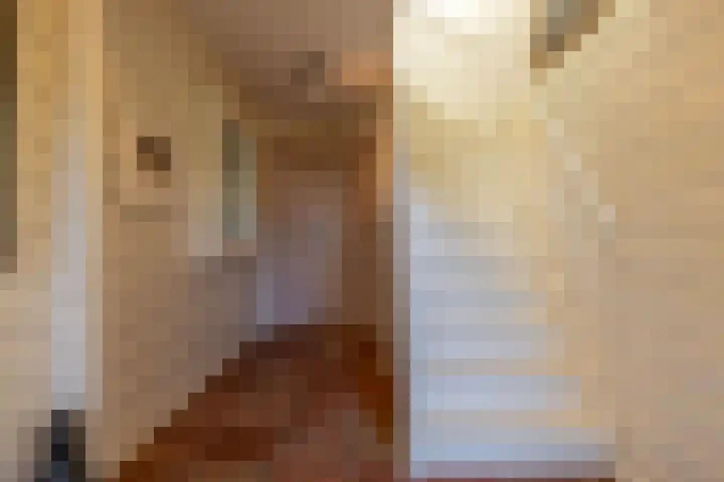 De Flechtreed 24 Oudemirdum thumbnail 5