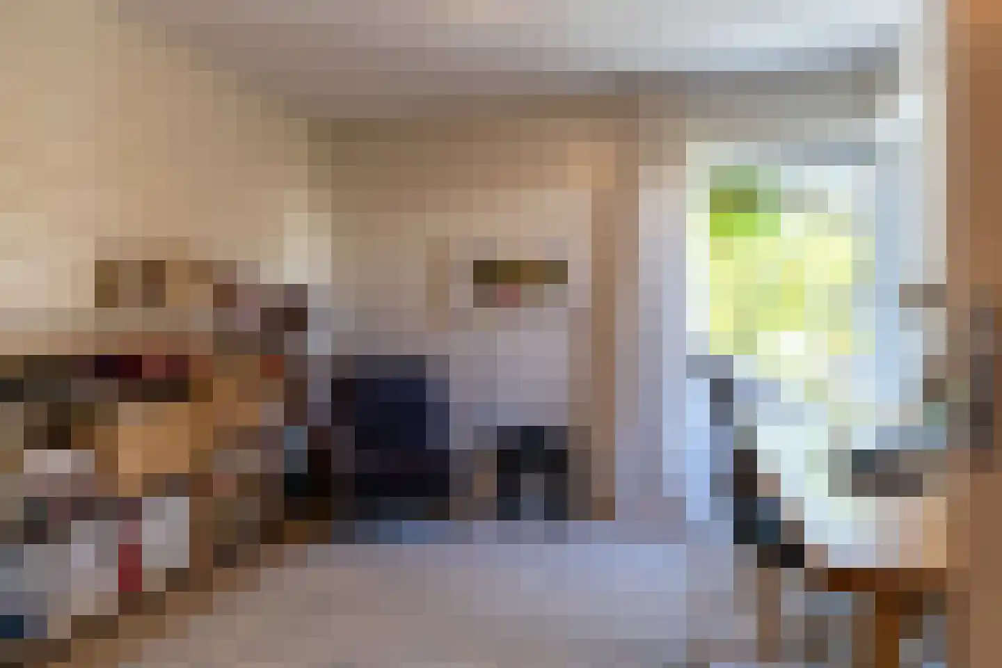 De Flechtreed 24 Oudemirdum thumbnail 6