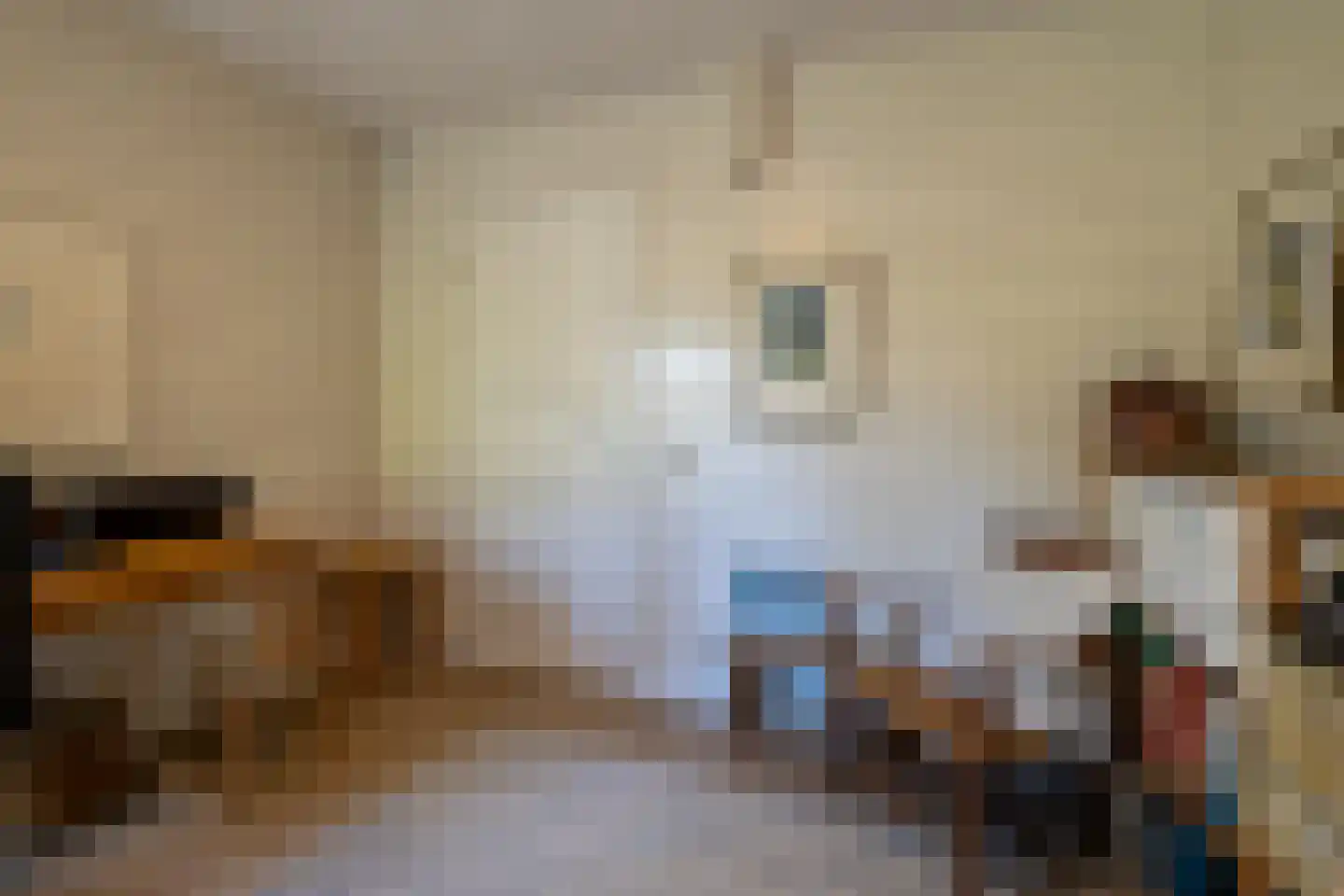 De Flechtreed 24 Oudemirdum thumbnail 7