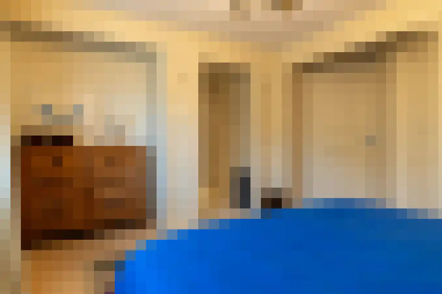 De Flechtreed 24 Oudemirdum thumbnail 9