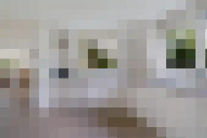 De Flechtreed 31 Oudemirdum thumbnail 10