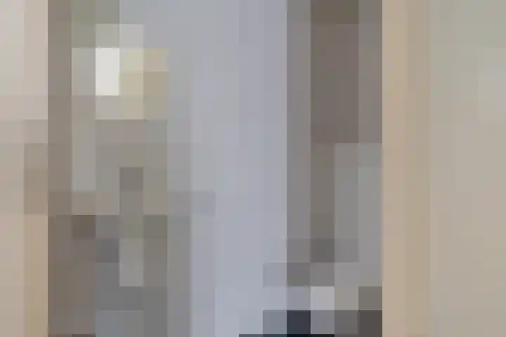 De Flechtreed 31 Oudemirdum thumbnail 17