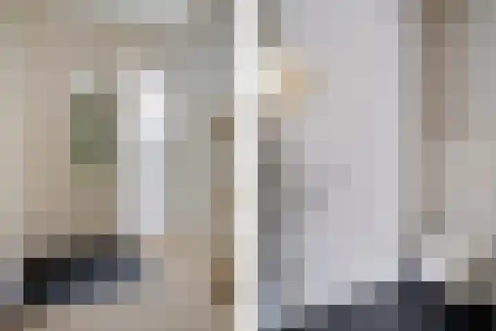 De Flechtreed 31 Oudemirdum thumbnail 18