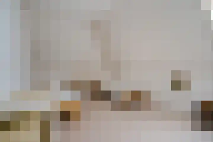 De Flechtreed 31 Oudemirdum thumbnail 24