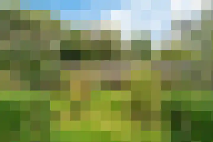 De Flechtreed 31 Oudemirdum thumbnail 30