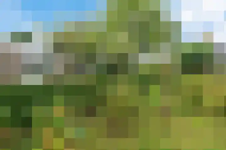 De Flechtreed 31 Oudemirdum thumbnail 31