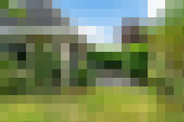 De Flechtreed 31 Oudemirdum thumbnail 34