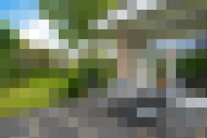 De Flechtreed 31 Oudemirdum thumbnail 36
