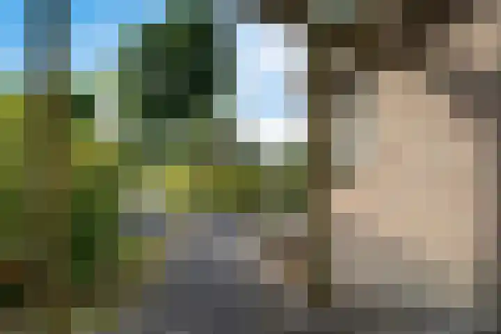De Flechtreed 31 Oudemirdum thumbnail 37