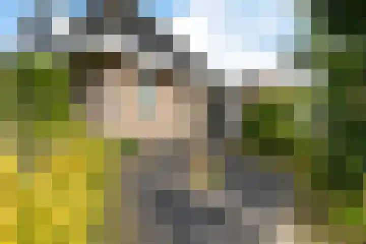 De Flechtreed 31 Oudemirdum thumbnail 41