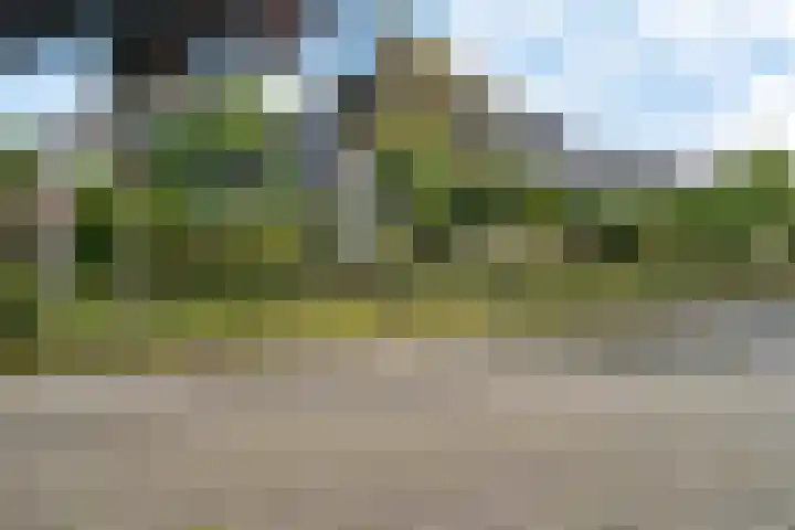 De Flechtreed 31 Oudemirdum thumbnail 44
