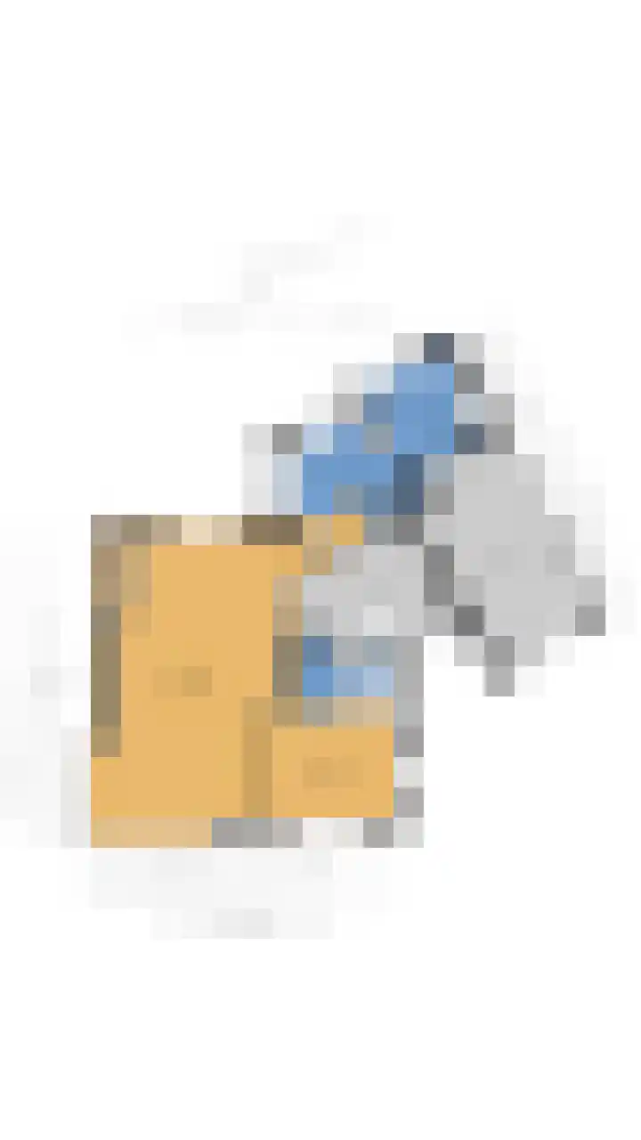De Flechtreed 31 Oudemirdum thumbnail 46