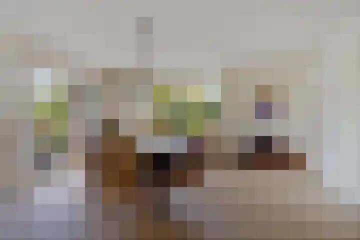 De Flechtreed 31 Oudemirdum thumbnail 8