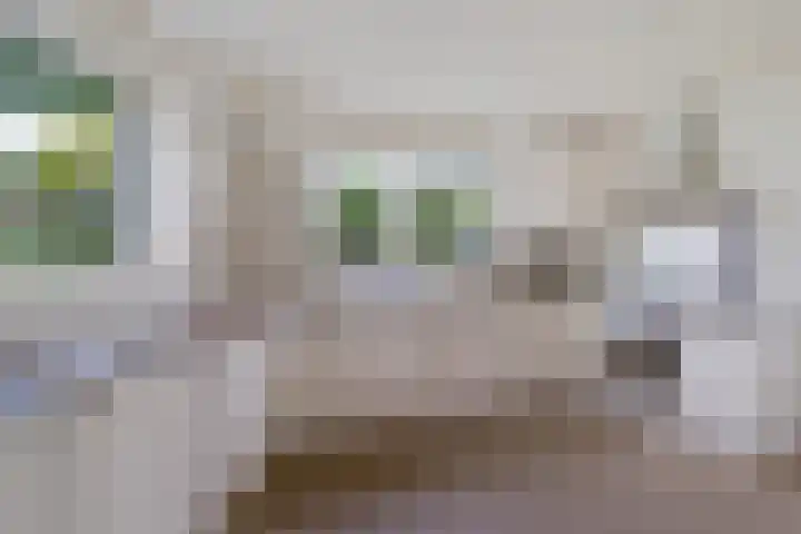De Flechtreed 31 Oudemirdum thumbnail 9