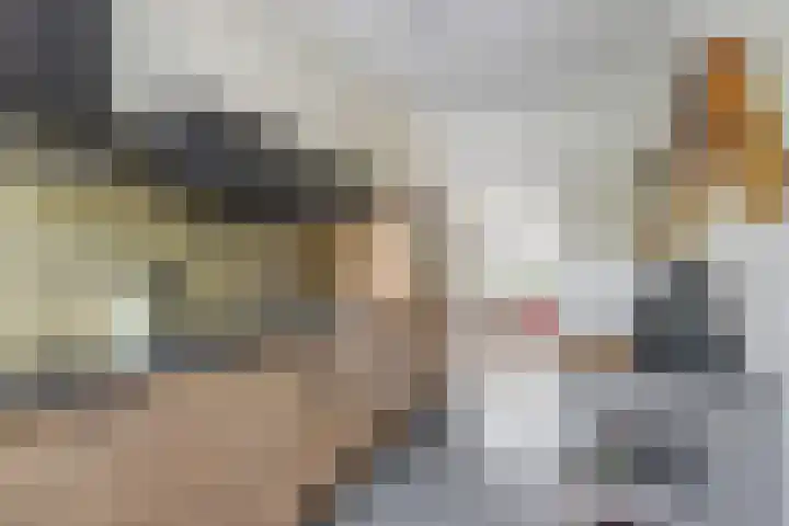 De Flechtreed 7 Oudemirdum thumbnail 12