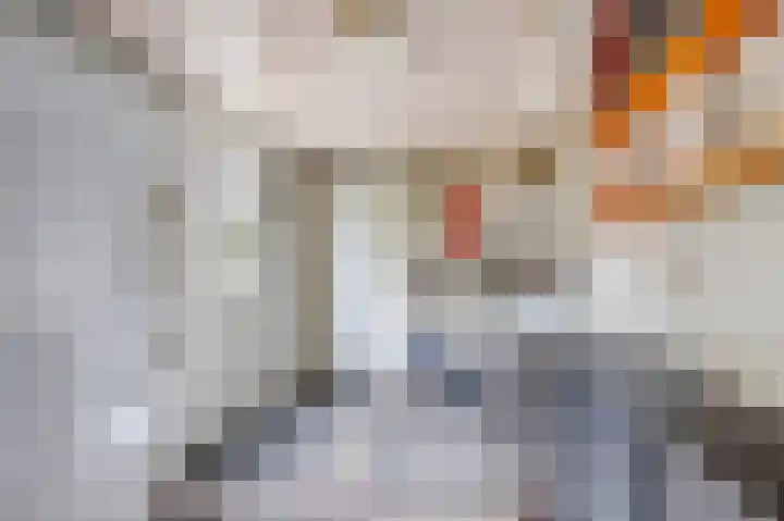 De Flechtreed 7 Oudemirdum thumbnail 13