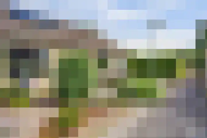 De Flechtreed 7 Oudemirdum thumbnail 24
