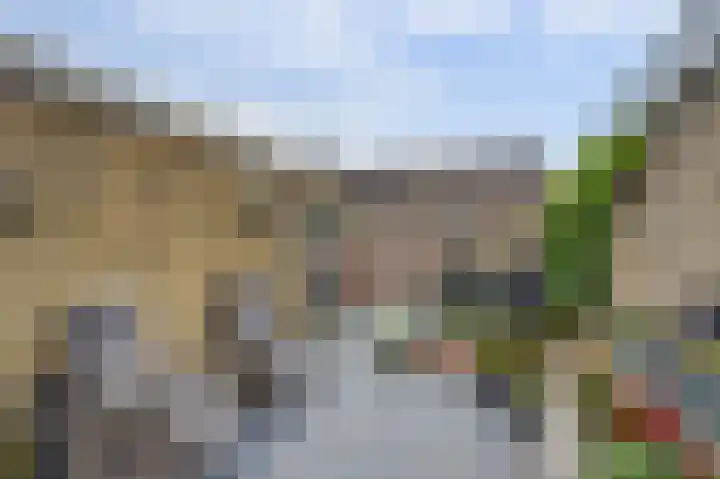 De Flechtreed 7 Oudemirdum thumbnail 25