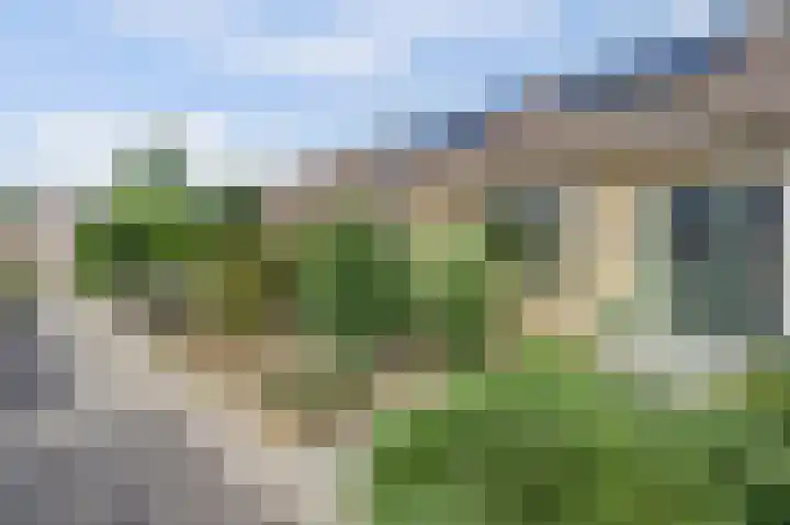 De Flechtreed 7 Oudemirdum thumbnail 26