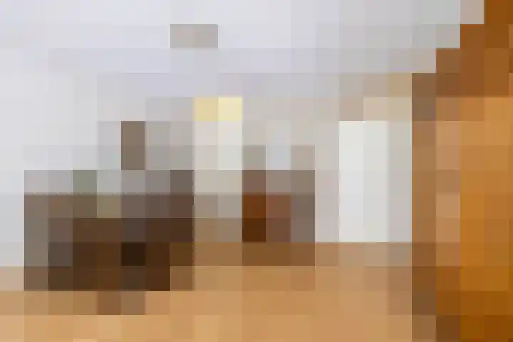 De Fledders 36 Vries thumbnail 19