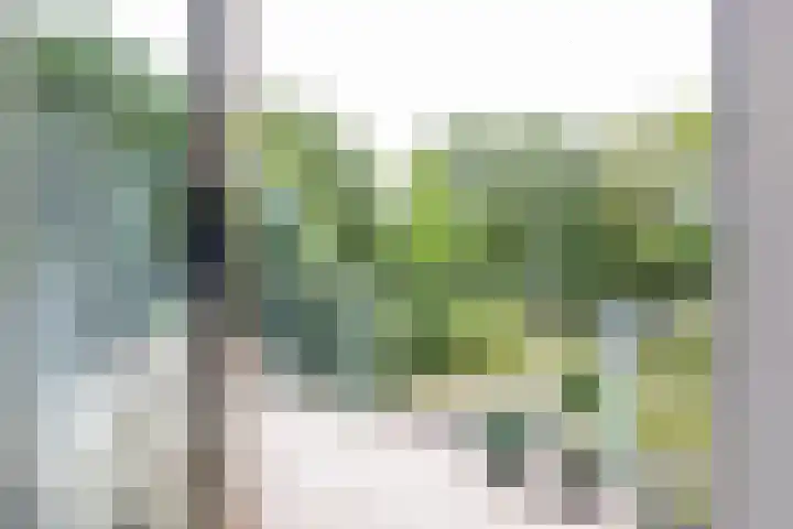 De Fledders 36 Vries thumbnail 26