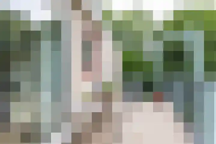 De Fledders 36 Vries thumbnail 27