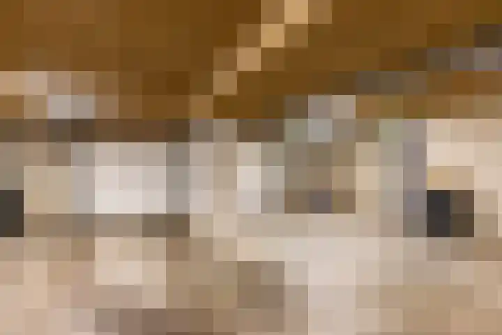 De Fledders 36 Vries thumbnail 44