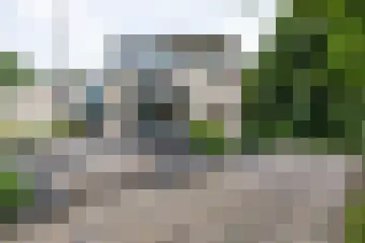 De Fledders 36 Vries thumbnail 5