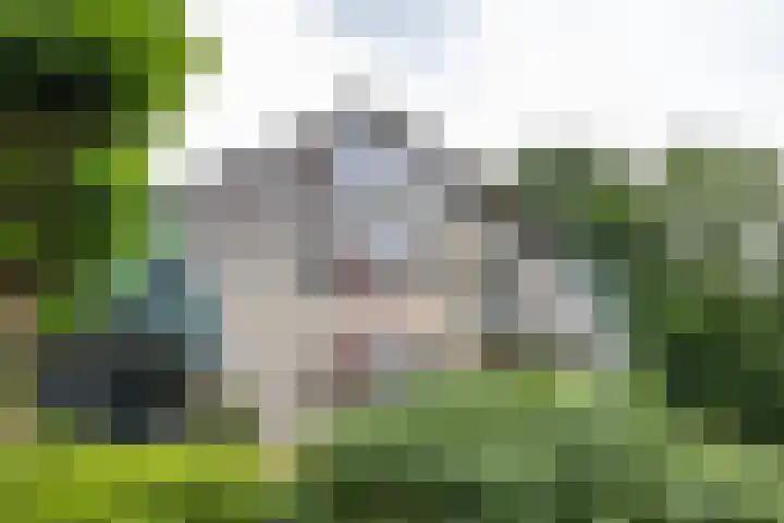 De Fledders 36 Vries thumbnail 6