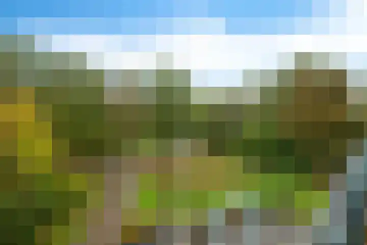 De Fledders 40 Vries thumbnail 14