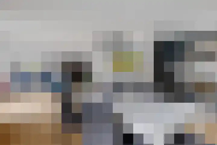 De Fledders 40 Vries thumbnail 15