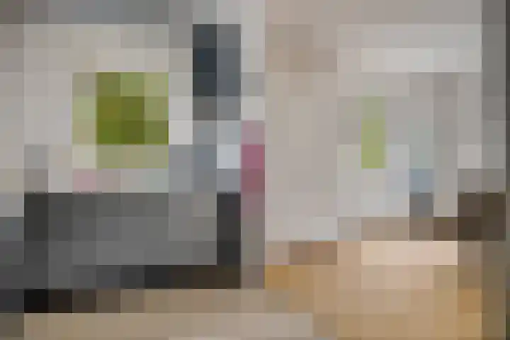 De Fledders 40 Vries thumbnail 17