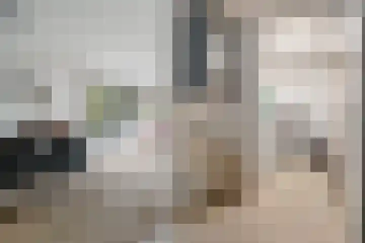 De Fledders 40 Vries thumbnail 18