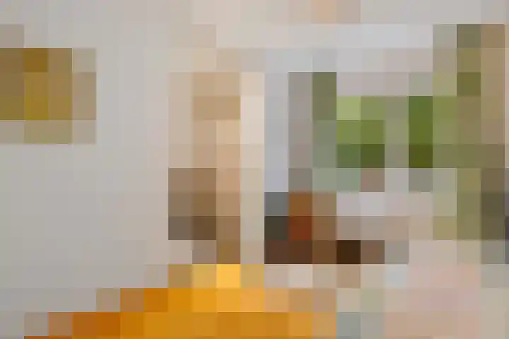 De Fledders 40 Vries thumbnail 20