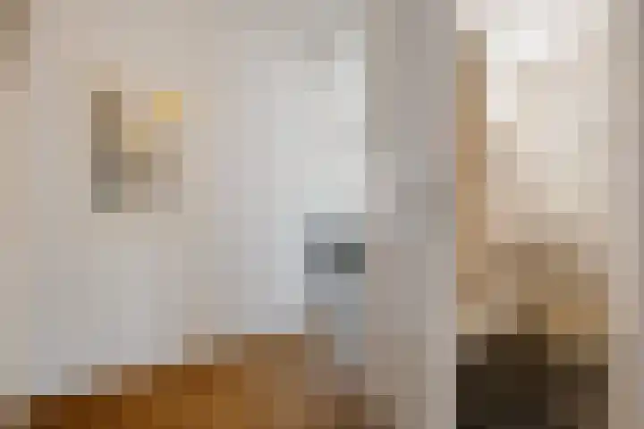 De Fledders 40 Vries thumbnail 23