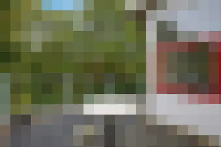 De Fledders 40 Vries thumbnail 29