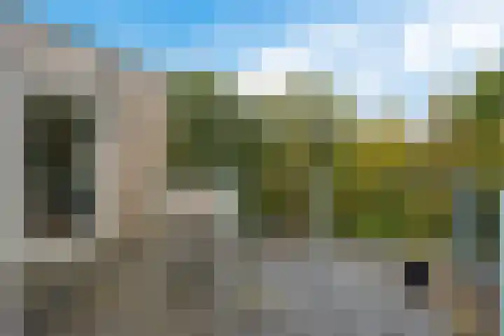 De Fledders 40 Vries thumbnail 30
