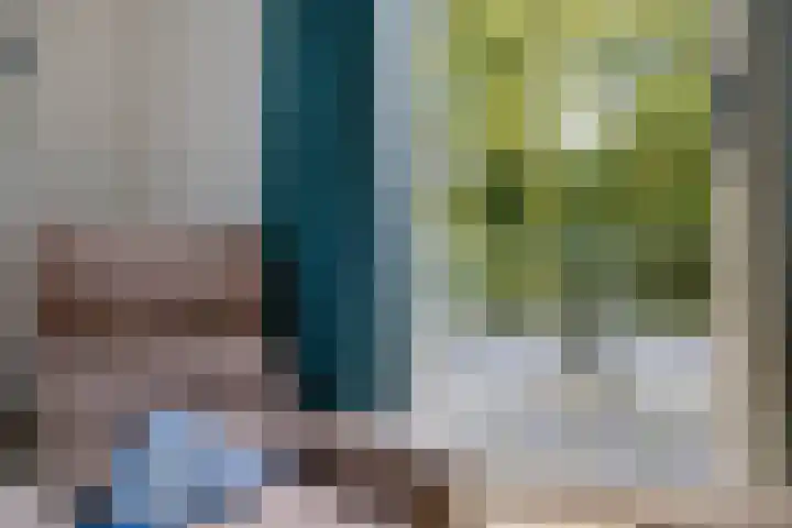 De Fledders 40 Vries thumbnail 32
