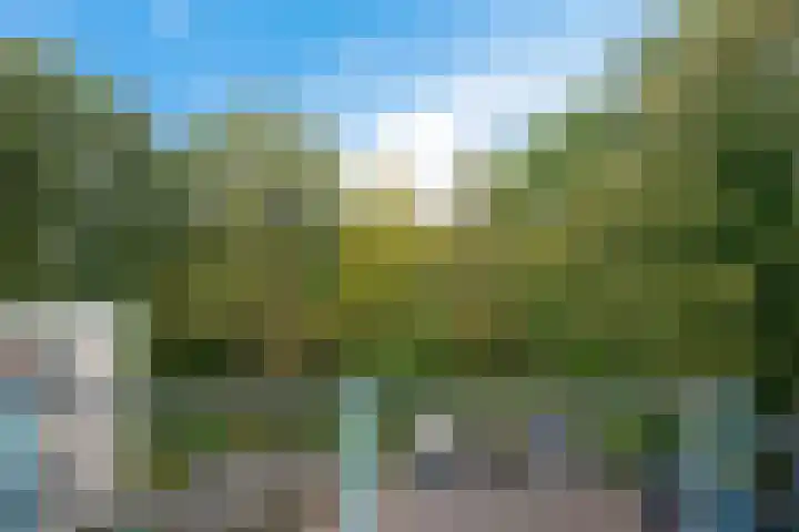 De Fledders 40 Vries thumbnail 33