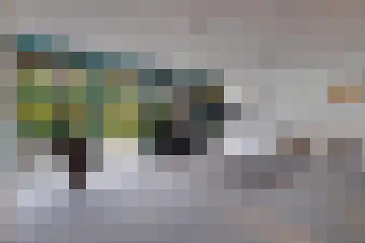 De Fledders 40 Vries thumbnail 37