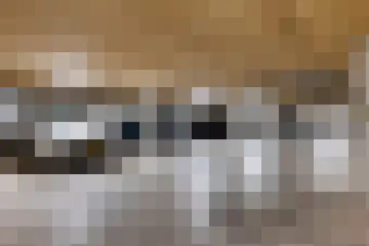 De Fledders 40 Vries thumbnail 39