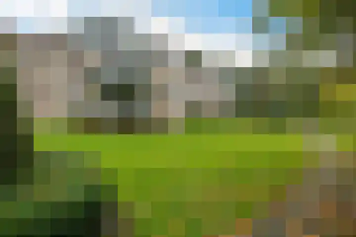 De Fledders 40 Vries thumbnail 41