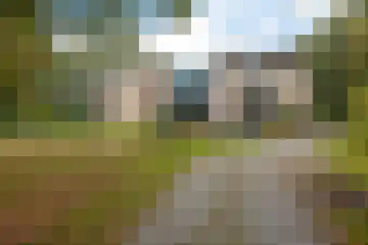 De Fledders 40 Vries thumbnail 42