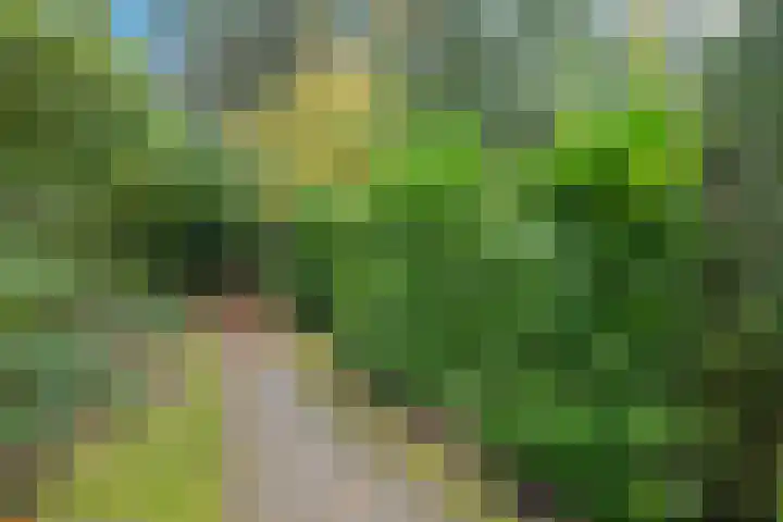 De Fledders 40 Vries thumbnail 43