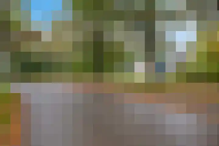De Fledders 40 Vries thumbnail 44