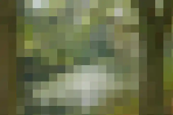 De Fledders 40 Vries thumbnail 45