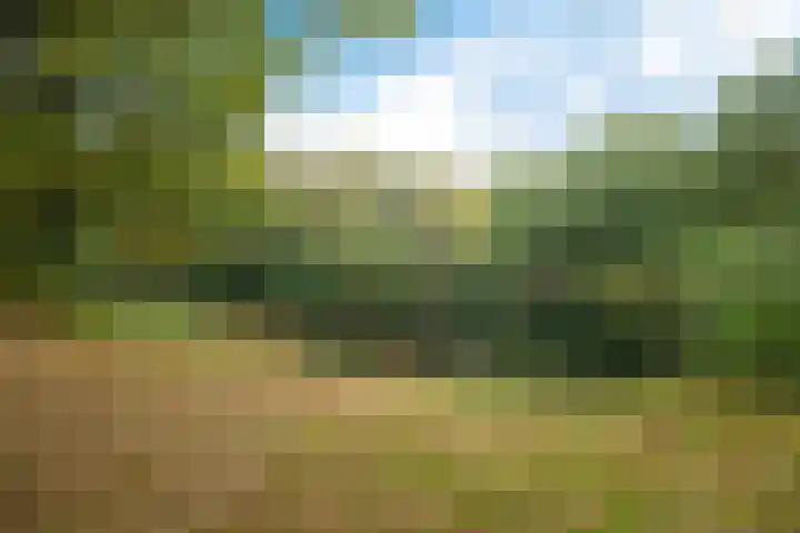 De Fledders 40 Vries thumbnail 46