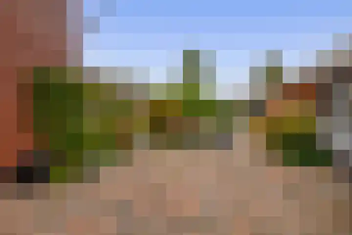 De Flerustraat 4 Heeswijk-Dinther thumbnail 26